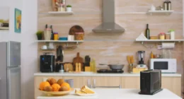 Best 5 Sous Vide Machines for Precise Cooking in India