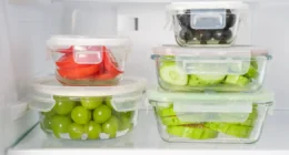 Top 10 Food Storage Containers In India for Freshness