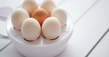 Best 5 Egg Cookers for Quick Breakfasts in India