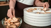 Best 5 Food Dehydrators for Healthy Snacks Top in India