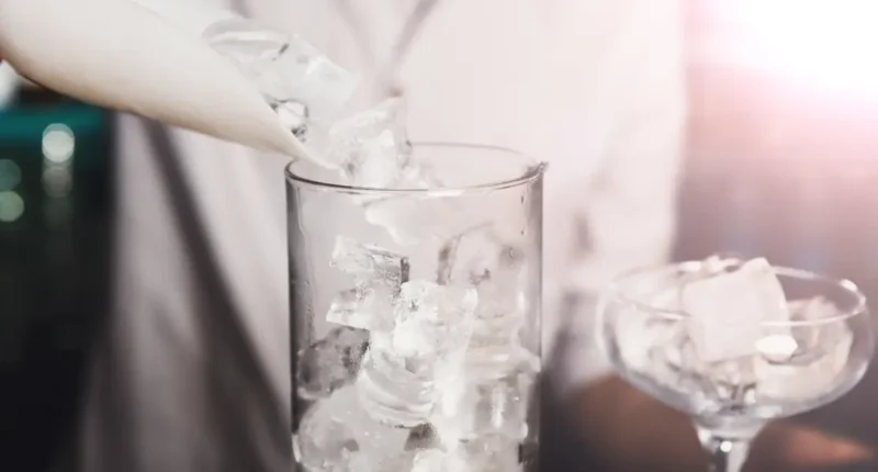 Best 5 Ice Makers for Parties and Gatherings in India