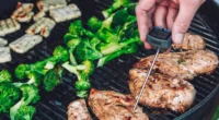 Best 5 Meat Thermometers for Accurate Grilling in India